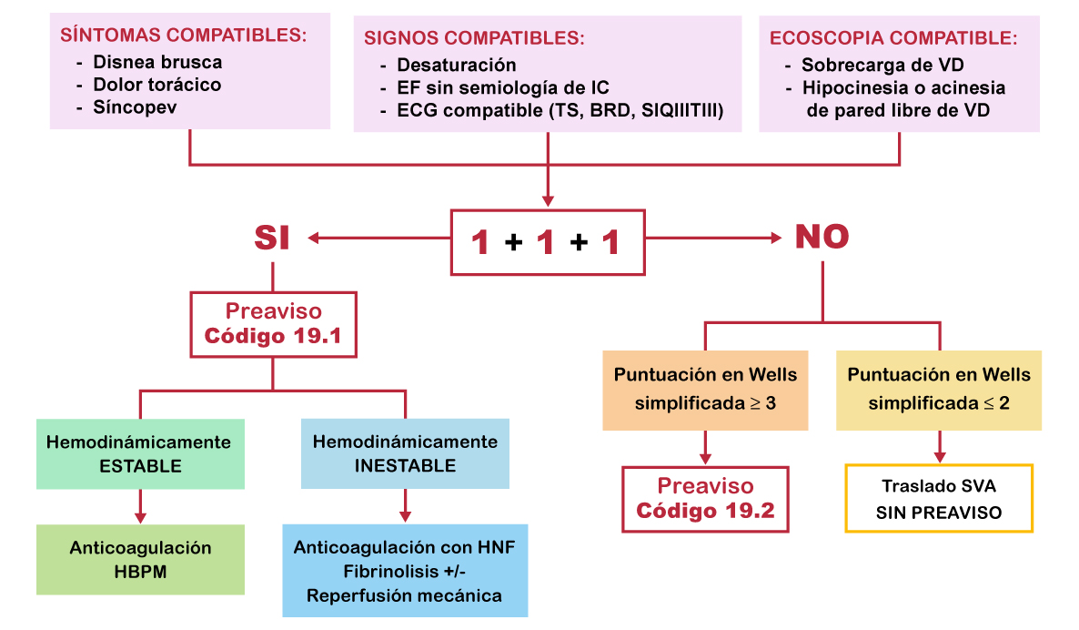 algoritmo Código 19
