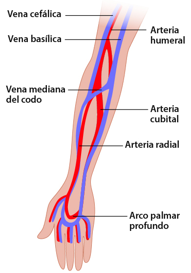 https://servpub.madrid.es/manualsamur/images/60402b_07.jpg