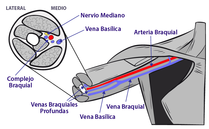 https://servpub.madrid.es/manualsamur/images/60402b_07a.jpg